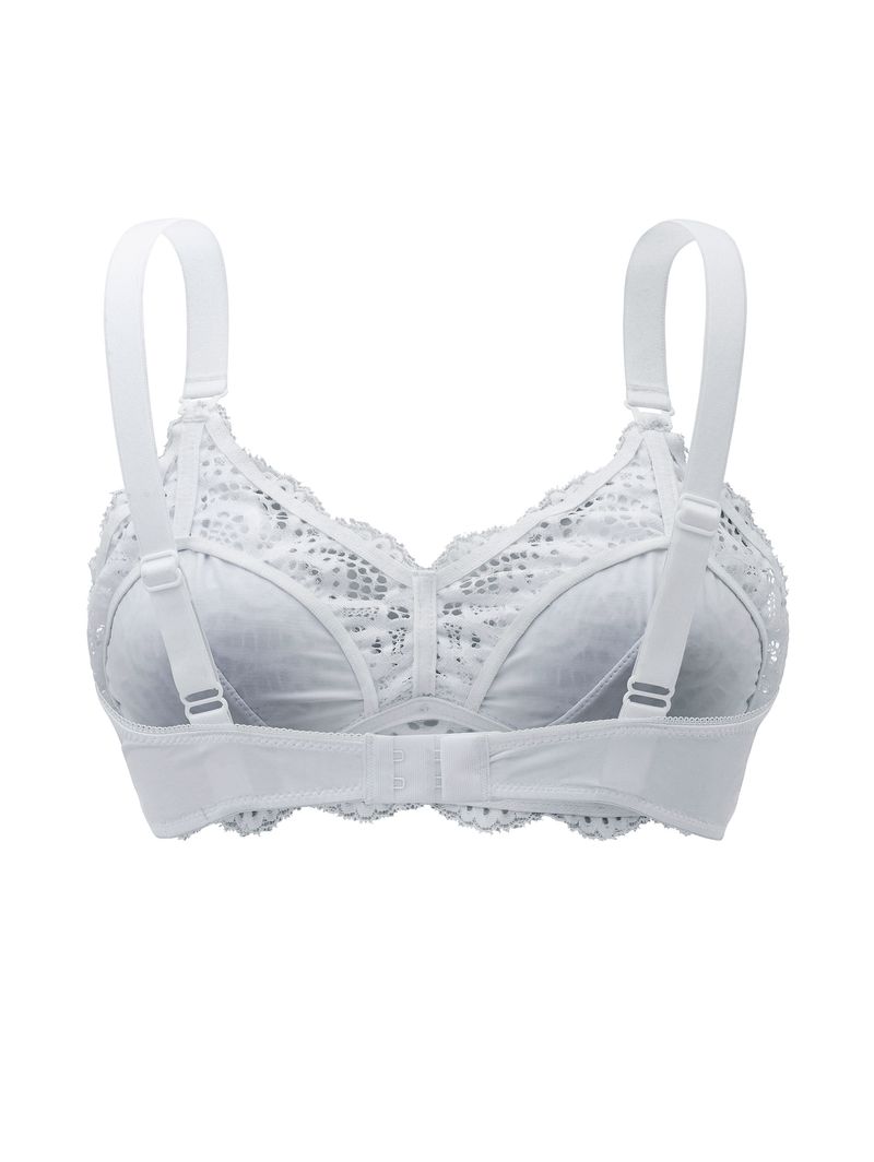 ST-AMAM-B-CAMAFEU-S19-0905006303002-VERSO